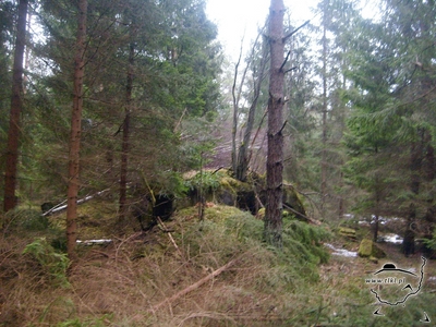 tl408